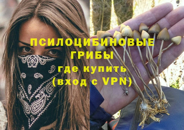 Альфа ПВП Зеленокумск