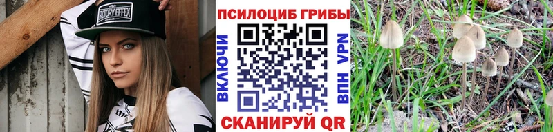 Галлюциногенные грибы Psilocybe  Купить где  Отрадная 