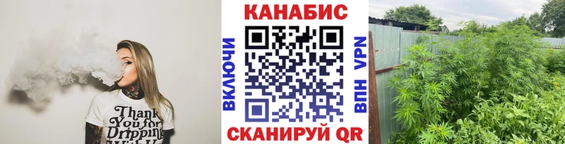 Шишки марихуана Bruce Banner Купить где Отрадная